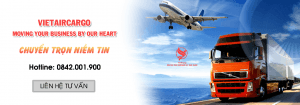 Công ty TNHH Vận Tải Hậu Cần Hàng Không Việt chuyên vận chuyển hàng nguy hiểm bằng máy bay