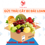 GỬI TRÁI CÂY ĐI ĐÀI LOAN NHANH CHÓNG, UY TÍN