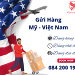 Hướng dẫn các cách gửi đồ qua Mỹ đơn giản, tiết kiệm với vietAviation cargo