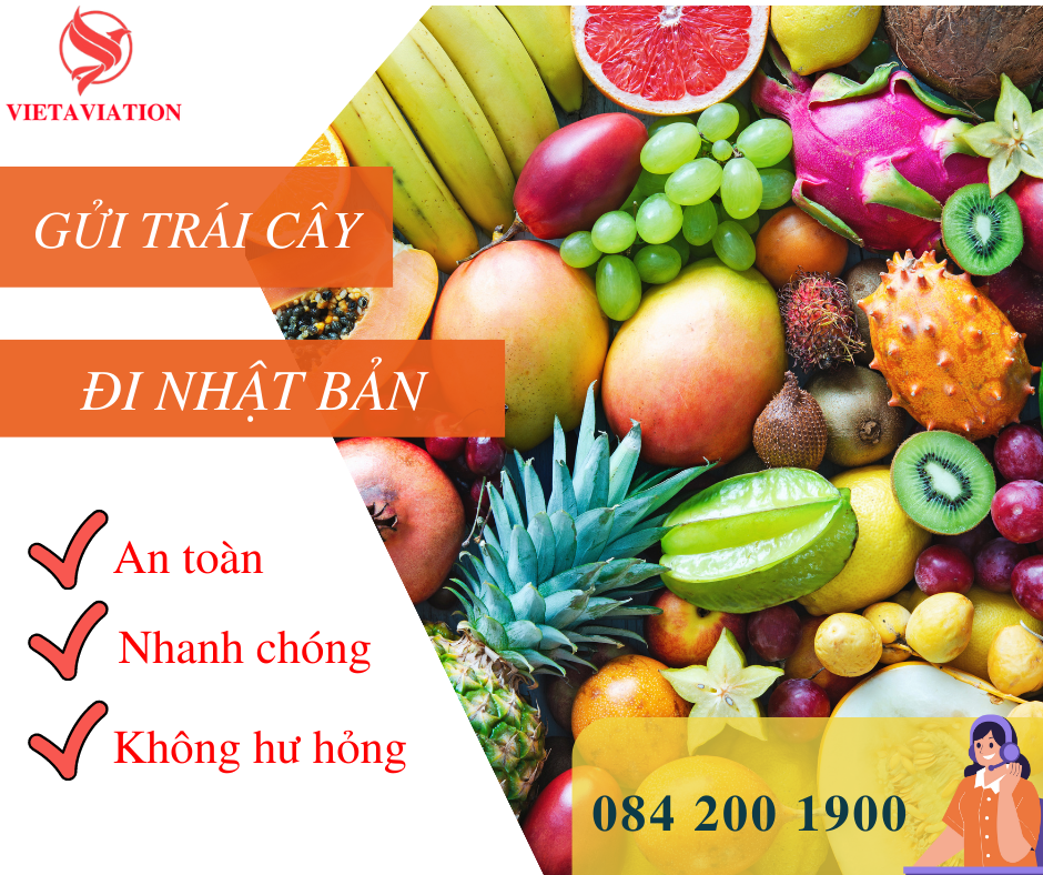 GỬI TRÁI CÂY ĐI NHẬT BẢN