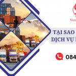 Tại Sao Cần Thuê Dịch Vụ Hải Quan?