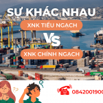 Xuất nhập khẩu tiểu ngạch và chính ngạch là gì?