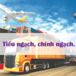 So sánh chính ngạch tiểu ngạch