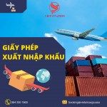GIẤY PHÉP XUẤT NHẬP KHẨU