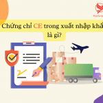 CE là gì? Chứng chỉ CE trong xuất nhập khẩu