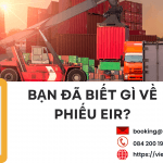 Phiếu Eir Là Gì? Nội Dung Của Phiếu Eir?