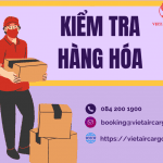 KIỂM TRA HẢI QUAN