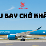 Tàu Bay Chở Khách Là Gì?
