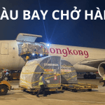 Tàu Bay Chở Hàng Là Gì?