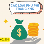Các Loại Phụ Phí Trong Xuất Nhập Khẩu