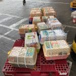 Những quy định & lưu ý cần biết khi vận chuyển thú cưng bằng máy bay