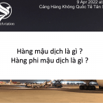 Hàng hoá mậu dịch là gì? Hàng hoá phi mậu dịch là gì?