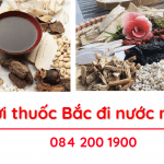 DỊCH VỤ GỬI THUỐC BẮC ĐI NƯỚC NGOÀI