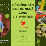 DỊCH VỤ CHUYÊN XUẤT KHẨU NÔNG SẢN ĐI NƯỚC NGOÀI