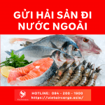 QUY TRÌNH XUẤT KHẨU THỦY SẢN SANG TRUNG QUỐC 2025