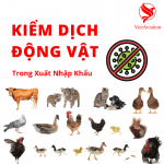 KIỂM DỊCH ĐỘNG VẬT LÀ GÌ? THỦ TỤC KIỂM DỊCH ĐỘNG VẬT?