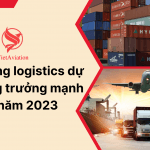 Thị trường logistics dự kiến tăng trưởng mạnh vào năm 2023