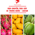 CẨM NANG VẬN CHUYỂN TRÁI CÂY ĐI TRUNG QUỐC VÀ CÁC NƯỚC ASEAN