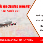 Công ty vận chuyển quốc tế Vận Tải Hậu Cần Hàng Không Việt