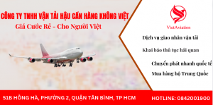 Công ty TNHH Vận Tải Hậu Cần Hàng Không Việt