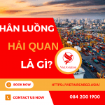 PHÂN LUỒNG HẢI QUAN LÀ GÌ? – VẬN TẢI HẬU CẦN HÀNG KHÔNG VIỆT.