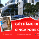 GỬI HÀNG ĐI SINGAPORE GIÁ RẺ.