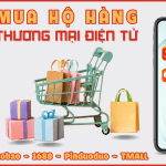 MUA HỘ HÀNG THƯƠNG MẠI ĐIỆN TỬ GIÁ RẺ NHANH CHÓNG