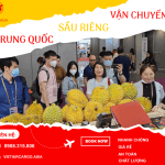 Vận chuyển sầu riêng đi Trung Quốc cùng VietAviation