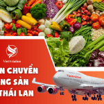 VẬN CHUYỂN NÔNG SẢN ĐI THÁI LAN GIÁ RẺ CÙNG VIETAVIATION