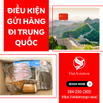 ĐIỀU KIỆN ĐỂ GỬI HÀNG TỪ VIỆT NAM SANG TRUNG QUỐC.