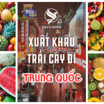 XUẤT KHẨU TRÁI CÂY ĐI TRUNG QUỐC GIÁ RẺ CÙNG VIETAVIATION