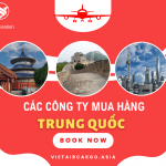 Các công ty mua hàng hộ Trung Quốc