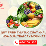QUY TRÌNH THỦ TỤC XUẤT KHẨU TRÁI CÂY, HOA QUẢ