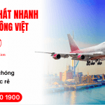 DỊCH VỤ CHUYÊN CHUYỂN PHÁT NHANH VIETAVIATION