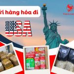 DỊCH VỤ VẬN CHUYỂN HÀNG HÓA ĐI MỸ GIÁ TỐT TẠI VIETAVIATION.