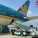 ĐẠI LÝ CHUYỂN PHÁT NHANH ĐI MỸ UY TÍN – VIETAVIATION.