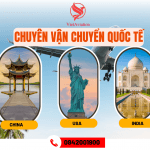 VIETAVIATION CHUYÊN VẬN CHUYỂN HÀNG QUỐC TẾ