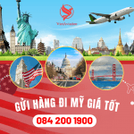 CHUYÊN DỊCH VỤ GỬI HÀNG ĐI MỸ GIÁ TỐT – VIETAVIATION