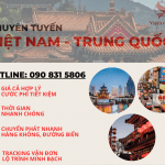 CHUYỂN PHÁT NHANH TUYẾN VIỆT – TRUNG CÙNG VIETAVIATION