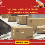 CÁC LOẠI HÀNG HOÁ TRONG VẬN CHUYỂN HÀNG KHÔNG