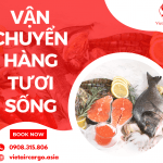 Vận chuyển hàng tươi sống bằng máy bay
