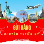 Những gì cần biết về gửi hàng chuyên tuyến Mỹ cùng VietAviation