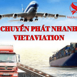 CÁC LOẠI HÌNH DỊCH VỤ CHUYỂN PHÁT NHANH