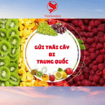 GỬI TRÁI CÂY ĐI TRUNG QUỐC AN TOÀN, GIÁ RẺ