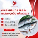 XUẤT KHẨU CÁ TRA ĐI TRUNG QUỐC NĂM 2023