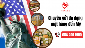 gửi hàng đi Mỹ giá cước tốt nhất tại TPHCM với dịch vụ VietAviation