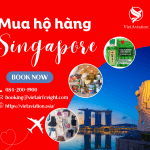VIETAVIATION – ĐƠN VỊ MUA HỘ HÀNG SINGAPORE GIÁ RẺ NHẤT THỊ TRƯỜNG 2023.
