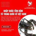 NHẬP KHẨU TÔM HÙM TỪ TRUNG QUỐC VỀ VIỆT NAM