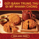 GỬI BÁNH TRUNG THU ĐI MỸ GIÁ TỐT – NHANH CHÓNG