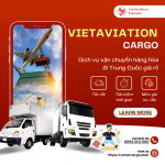 Chuyển Phát Nhanh Đến Thượng Hải: VIETAVIATION Đối Tác Tin Cậy Cho Kinh Doanh Quốc Tế và Gửi Quà Đặc Biệt